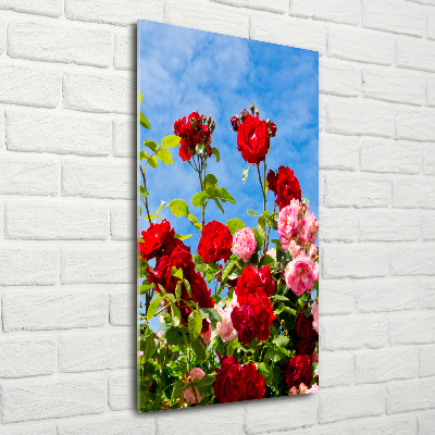Foto obraz akrylový na stěnu vertikální Divoká růže