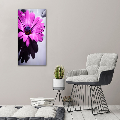 Foto obraz akryl do obýváku vertikální Růžová gerbera