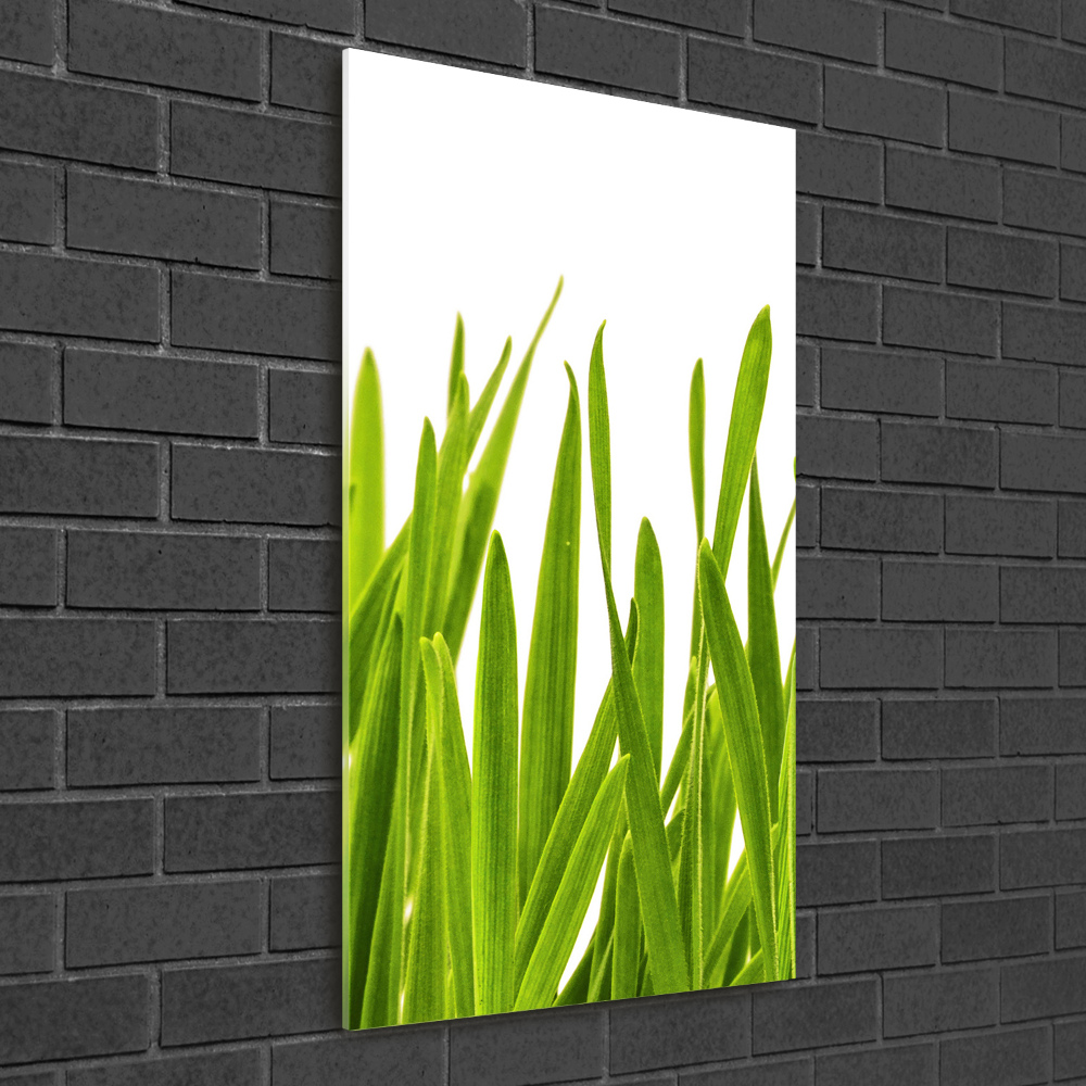 Foto obraz akrylový do obýváku vertikální Zelená tráva