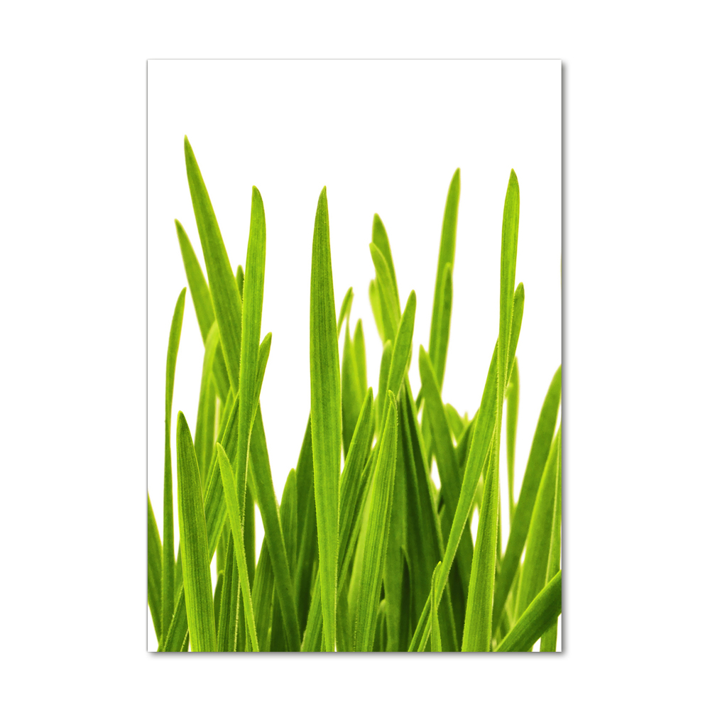 Foto obraz akrylový do obýváku vertikální Zelená tráva
