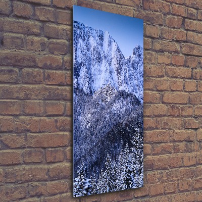 Foto obraz akrylový do obýváku vertikální Gievont Tatry