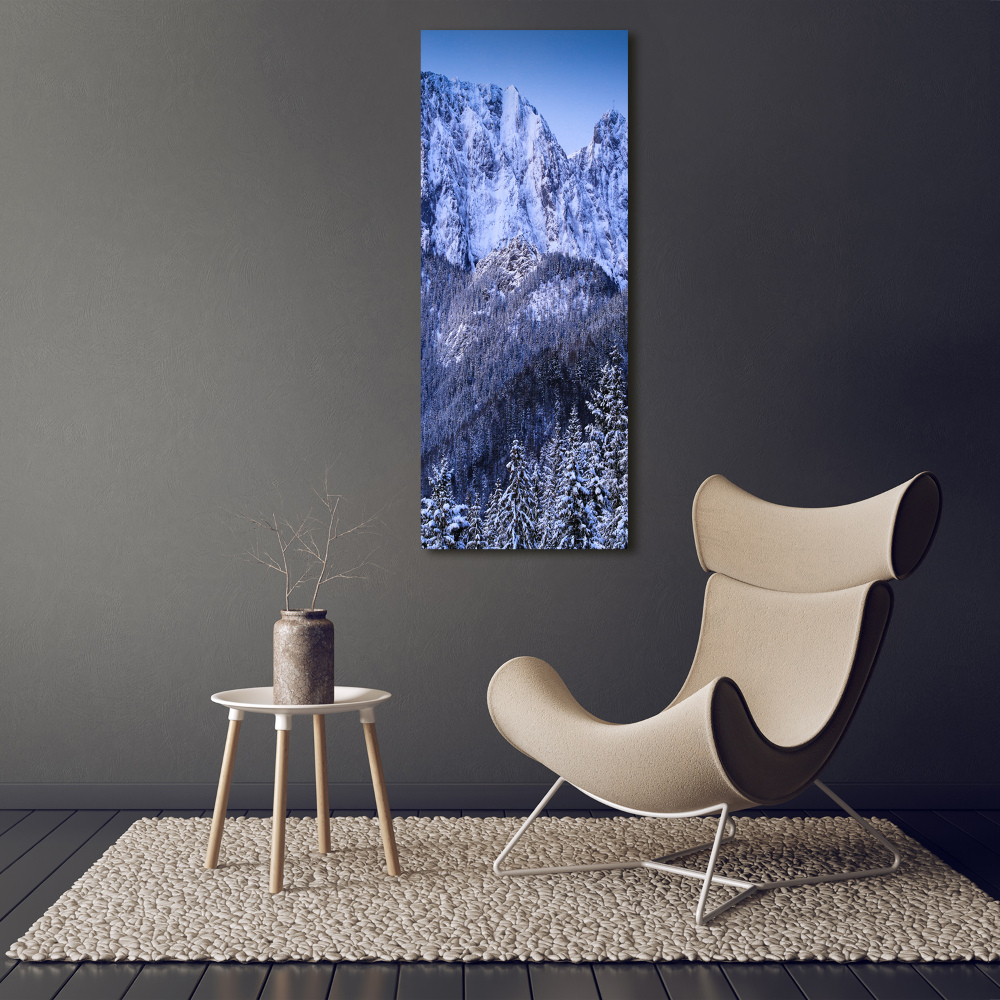Foto obraz akrylový do obýváku vertikální Gievont Tatry