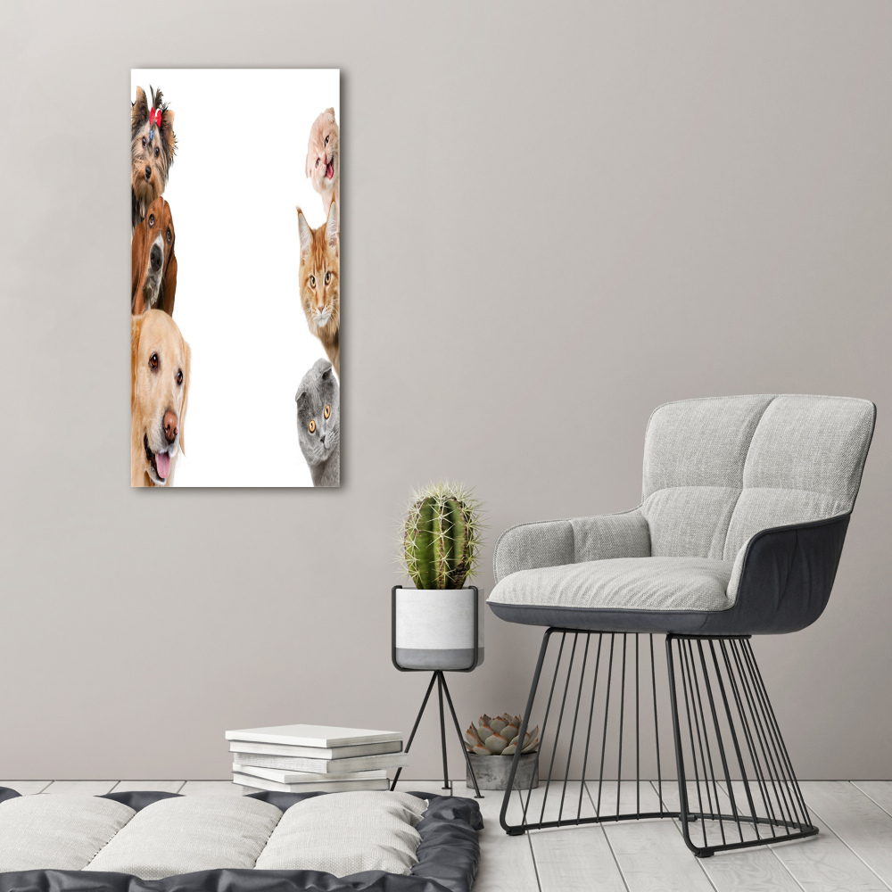 Foto obraz akrylový na stěnu vertikální Psy a kočky