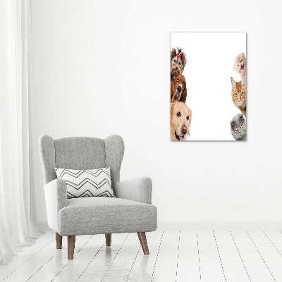 Foto obraz akrylový na stěnu vertikální Psy a kočky
