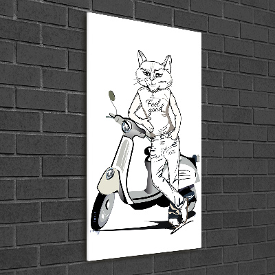 Foto obraz akryl do obýváku vertikální Kočičí muž