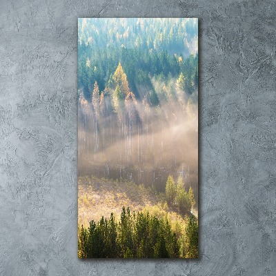 Foto obraz akryl do obýváku vertikální Mlha nad lesem