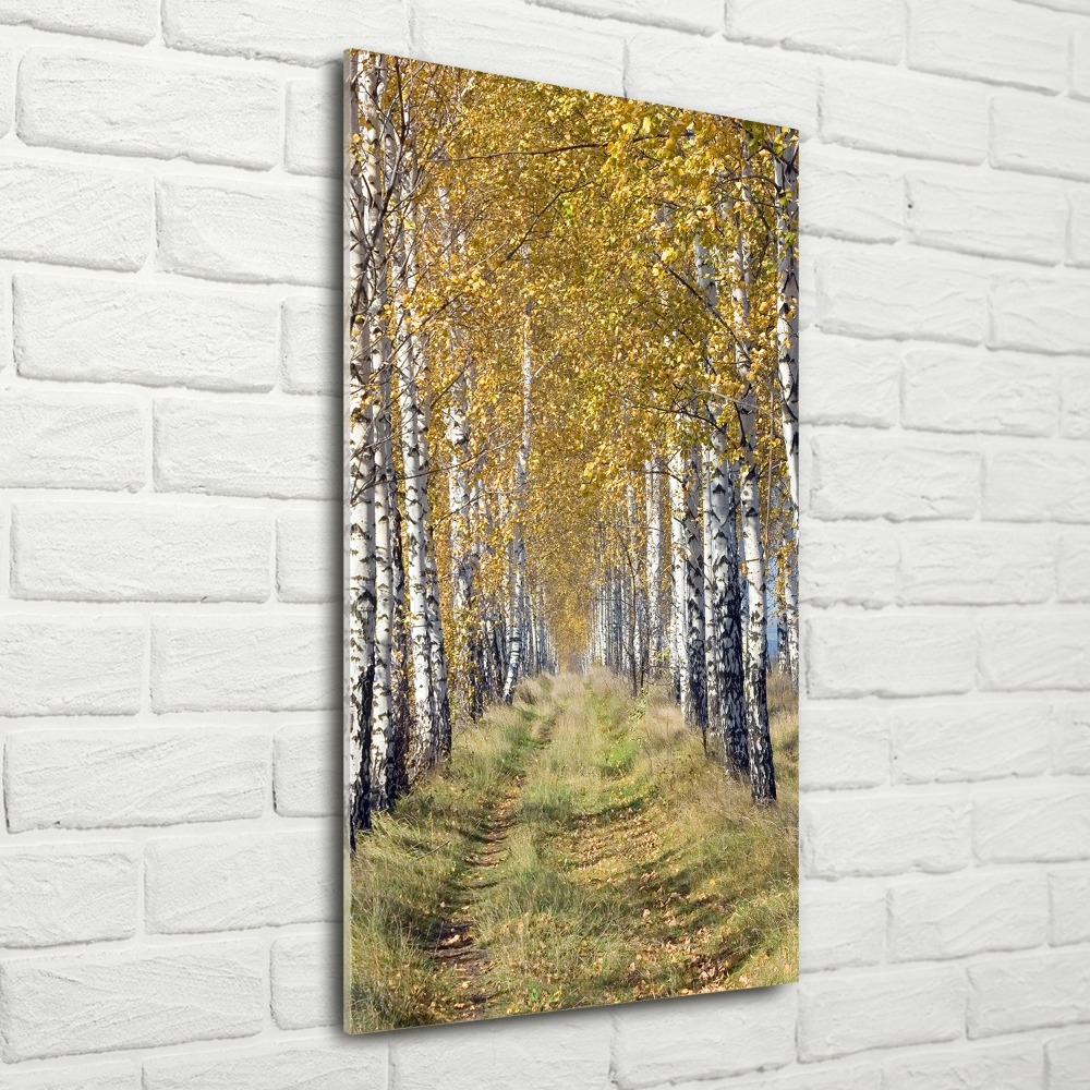 Moderní akrylový fotoobraz vertikální Břízový les