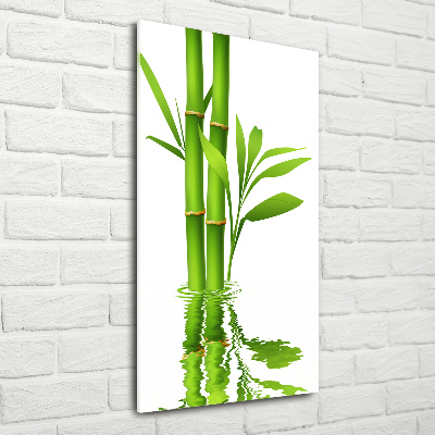 Foto obraz akrylové sklo vertikální Bambus