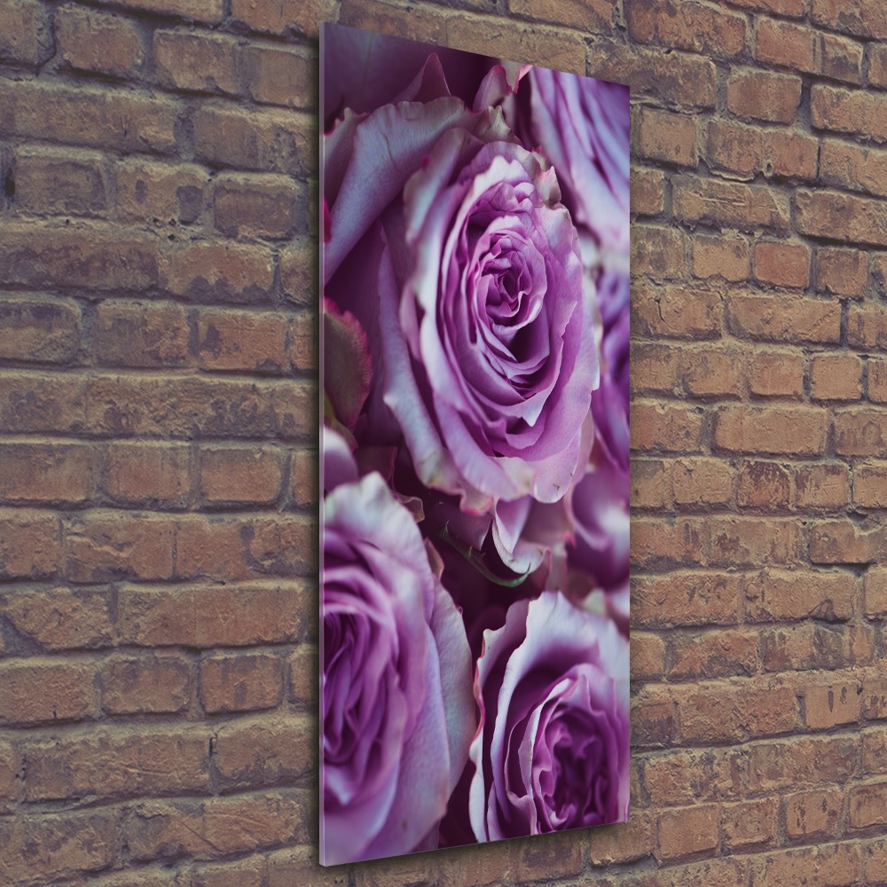 Foto obraz akryl do obýváku vertikální Fialové růže