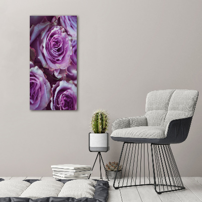 Foto obraz akryl do obýváku vertikální Fialové růže