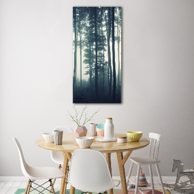 Moderní akrylový fotoobraz vertikální Mlha v lese
