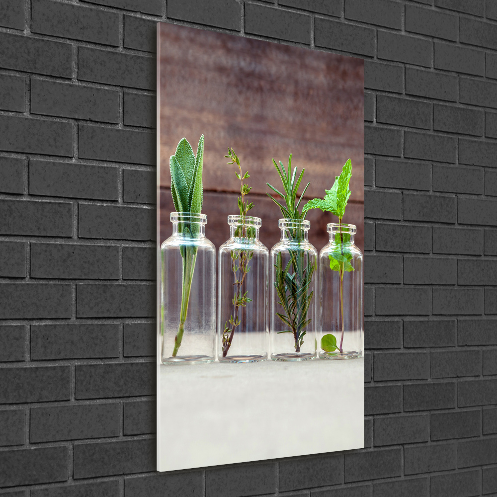 Foto obraz akrylové sklo vertikální Bylinky ve sklenicích