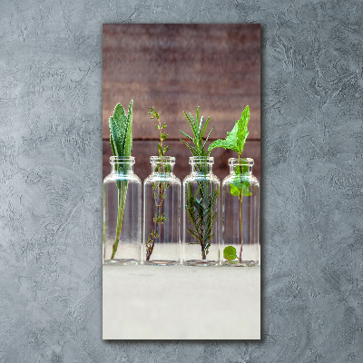 Foto obraz akrylové sklo vertikální Bylinky ve sklenicích