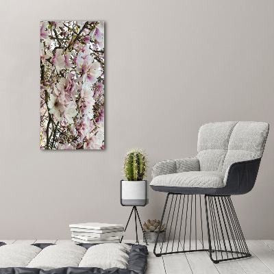 Foto obraz akrylové sklo vertikální Květy magnolie
