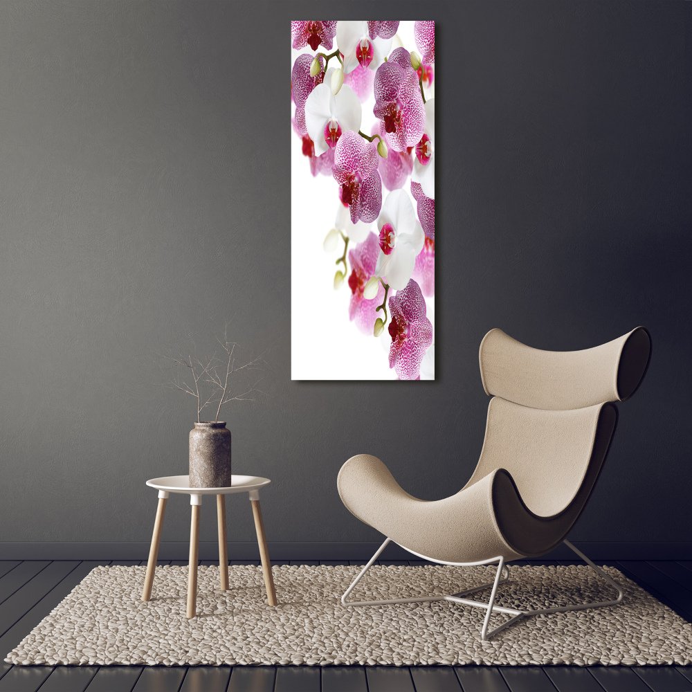 Foto obraz akrylový na stěnu vertikální Orchidej
