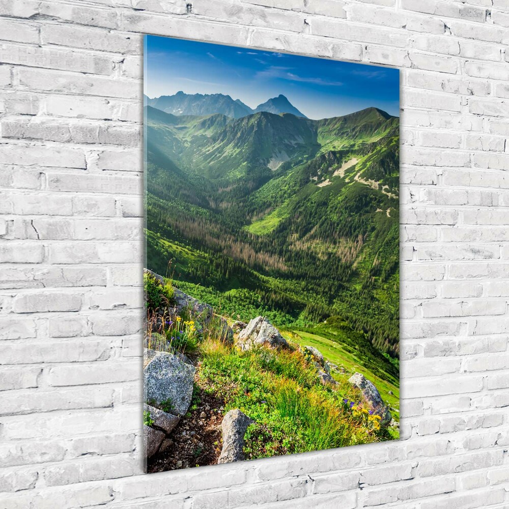 Foto obraz akrylový na stěnu vertikální Hory létem