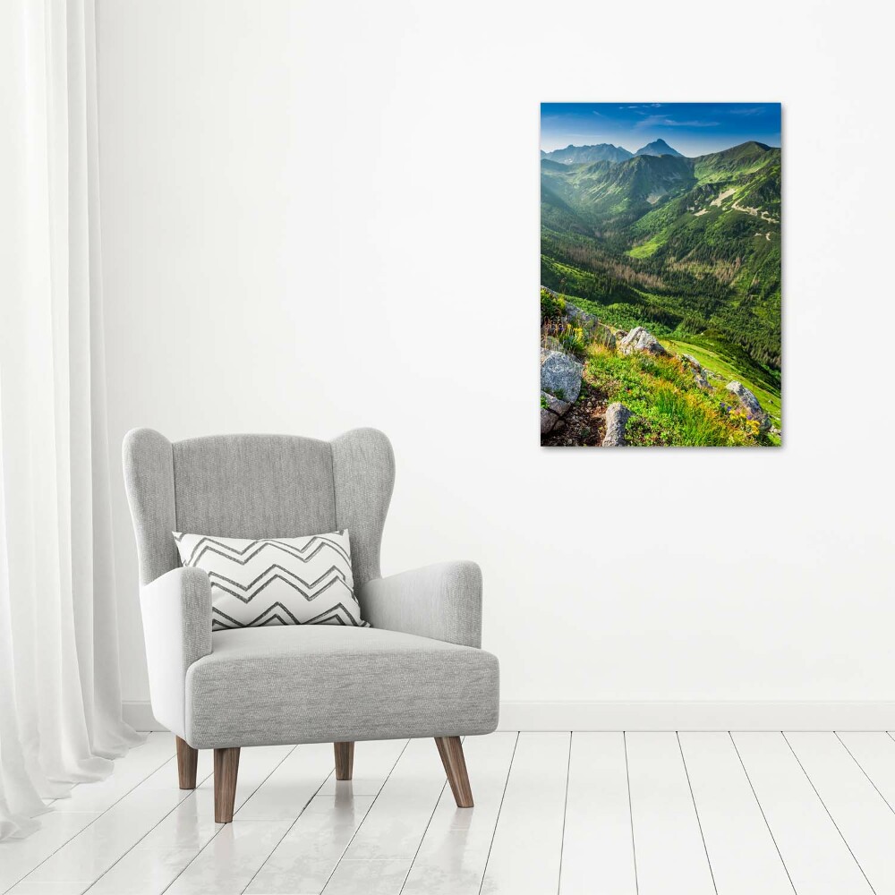 Foto obraz akrylový na stěnu vertikální Hory létem