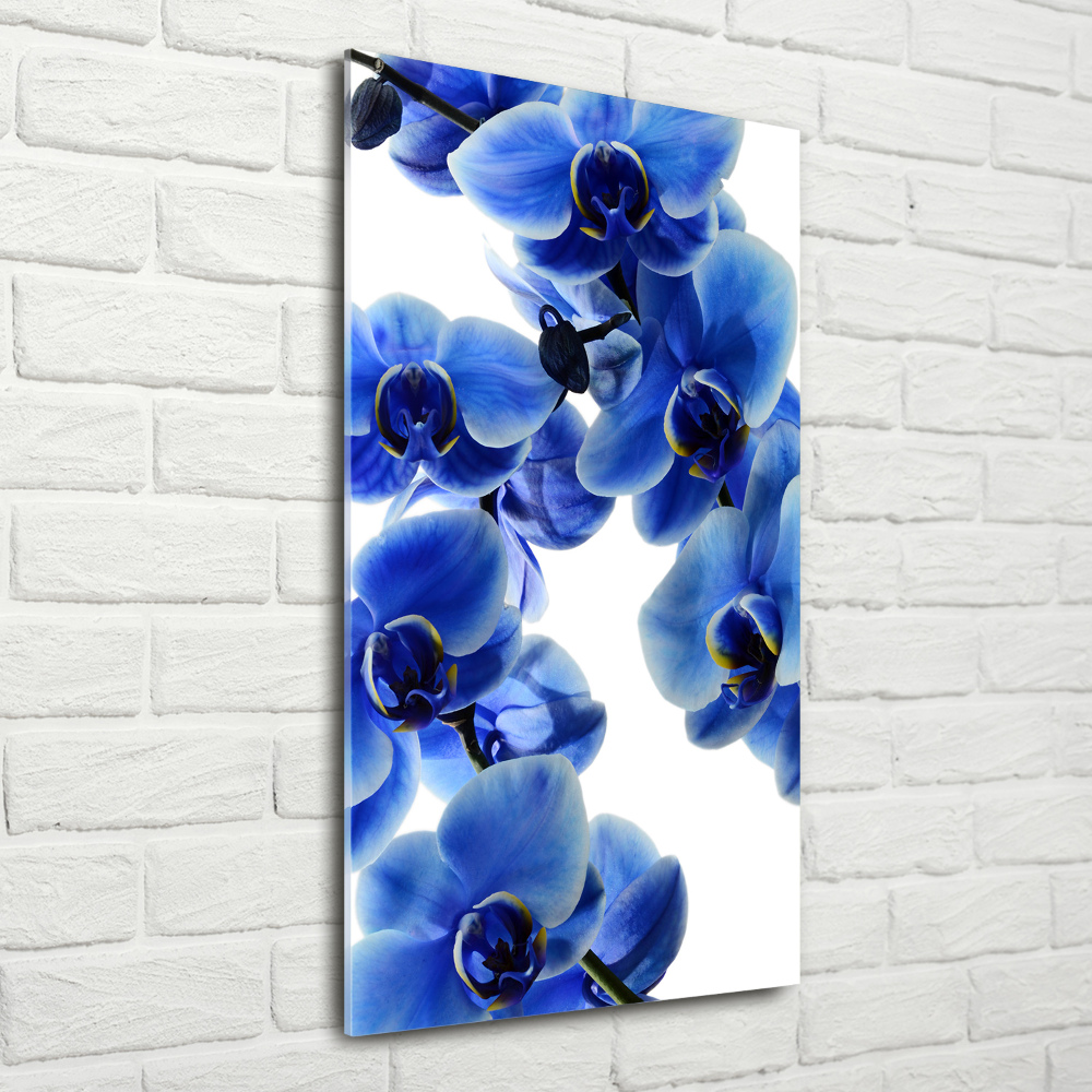 Foto obraz akrylový vertikální Modrá orchidej