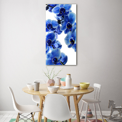 Foto obraz akrylový vertikální Modrá orchidej