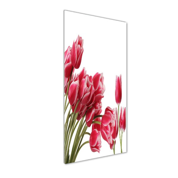 Foto obraz akrylový vertikální Červené tulipány