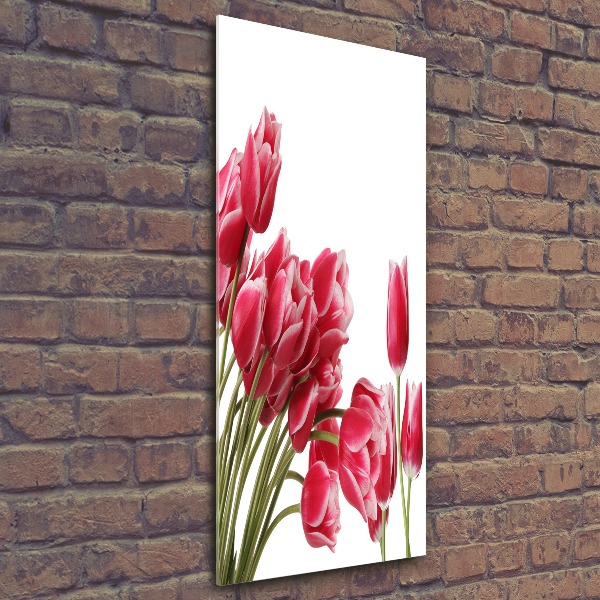 Foto obraz akrylový vertikální Červené tulipány