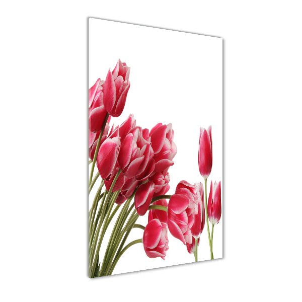 Foto obraz akrylový vertikální Červené tulipány