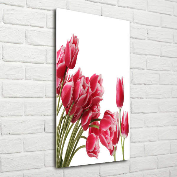 Foto obraz akrylový vertikální Červené tulipány