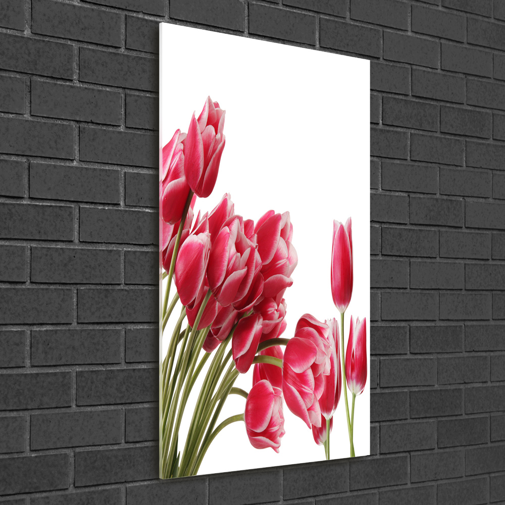Foto obraz akrylový vertikální Červené tulipány