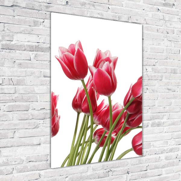 Foto obraz akrylový vertikální Červené tulipány