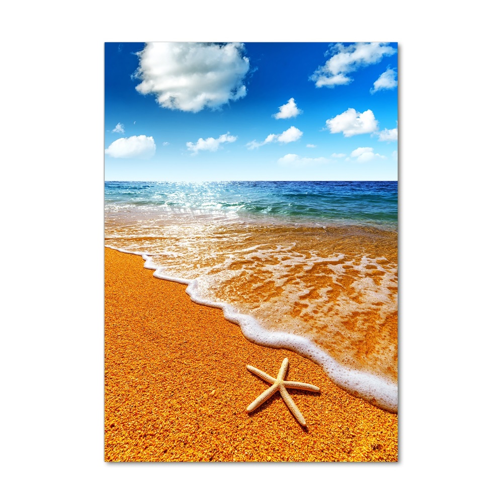 Foto obraz akrylový vertikální Hvězdice na pláži