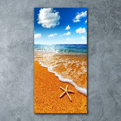 Foto obraz akrylový vertikální Hvězdice na pláži