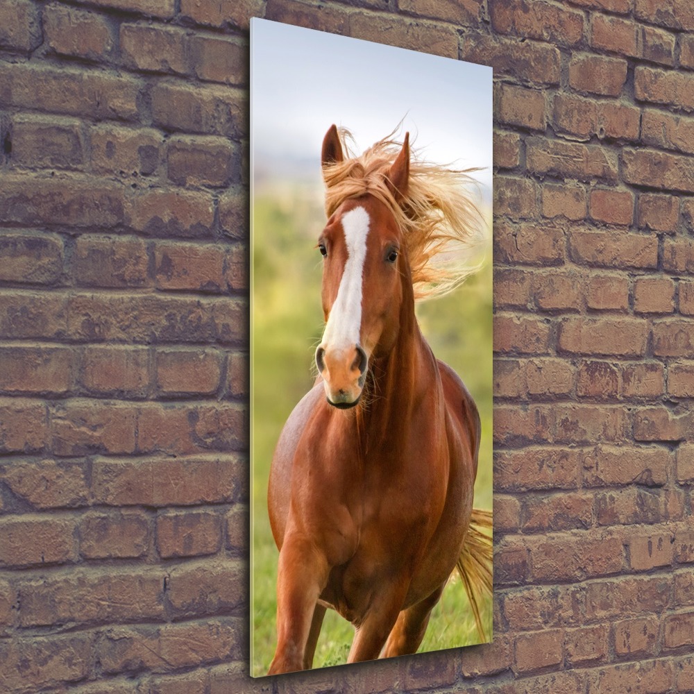 Foto obraz akrylový do obýváku vertikální Kůň v poklusu