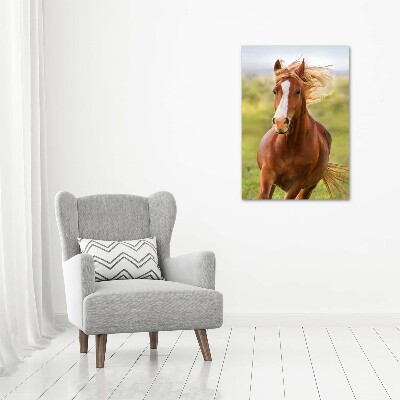 Foto obraz akrylový do obýváku vertikální Kůň v poklusu