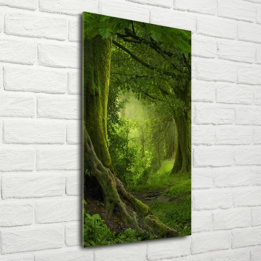 Foto obraz akrylový vertikální Tripická džungle