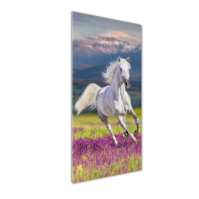 Foto obraz akrylový vertikální Bílý kůň cval
