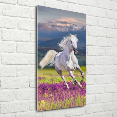 Foto obraz akrylový vertikální Bílý kůň cval