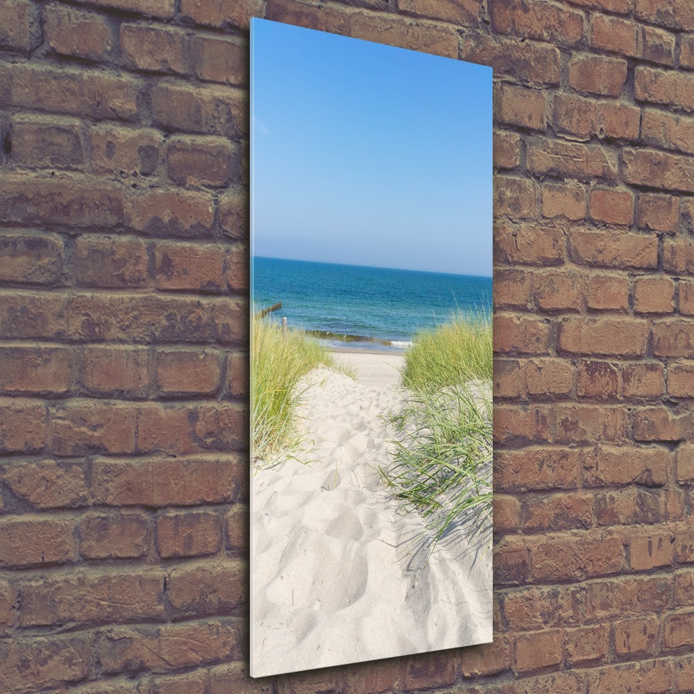 Foto obraz akrylové sklo vertikální Mořské duny