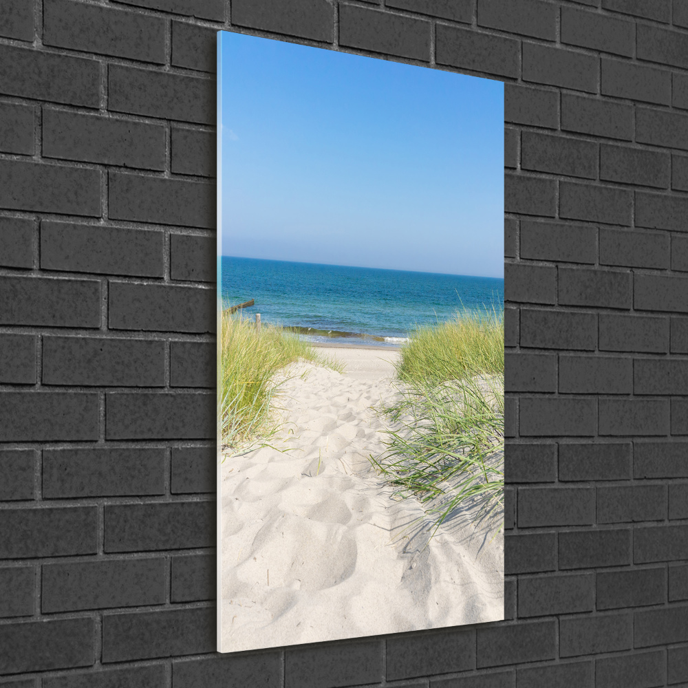 Foto obraz akrylové sklo vertikální Mořské duny