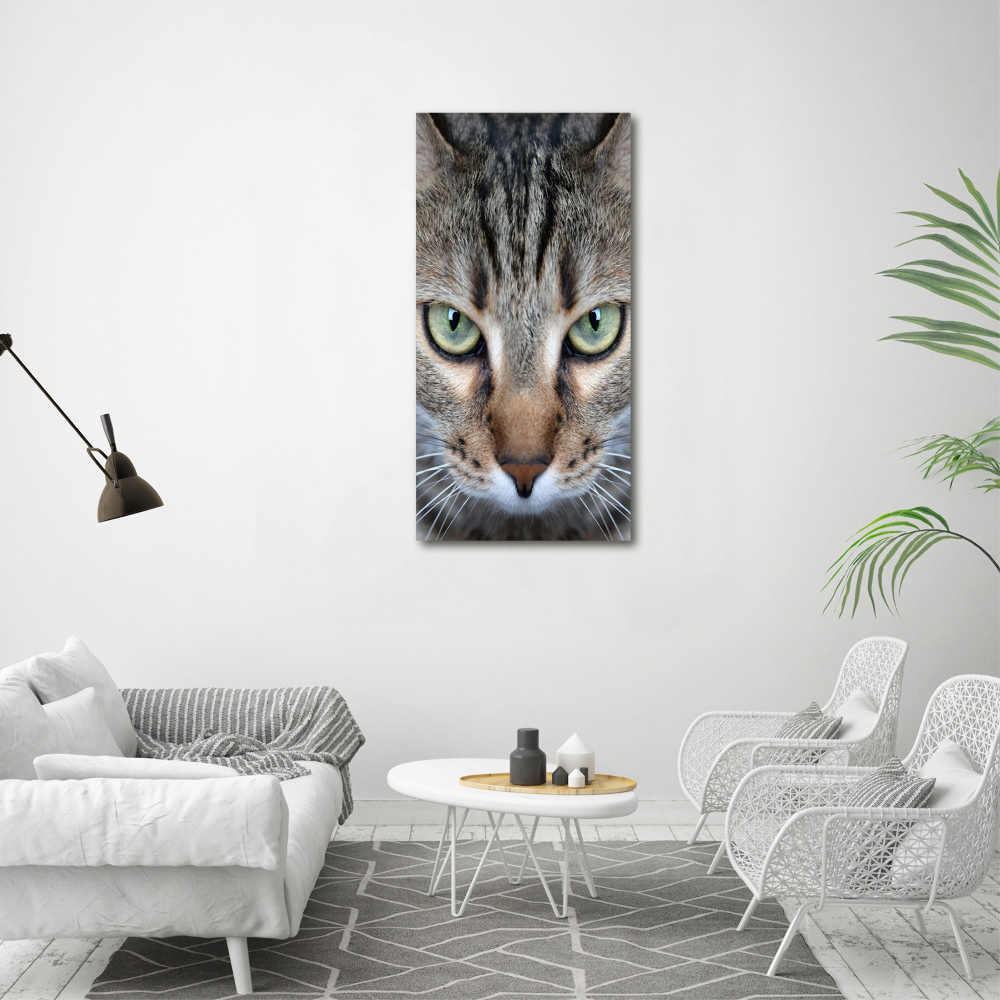 Foto obraz akrylový na stěnu vertikální Oči kočky