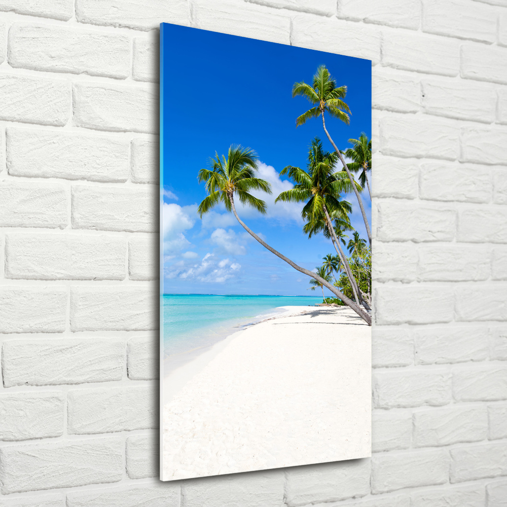 Foto obraz akrylové sklo vertikální Tropická pláž