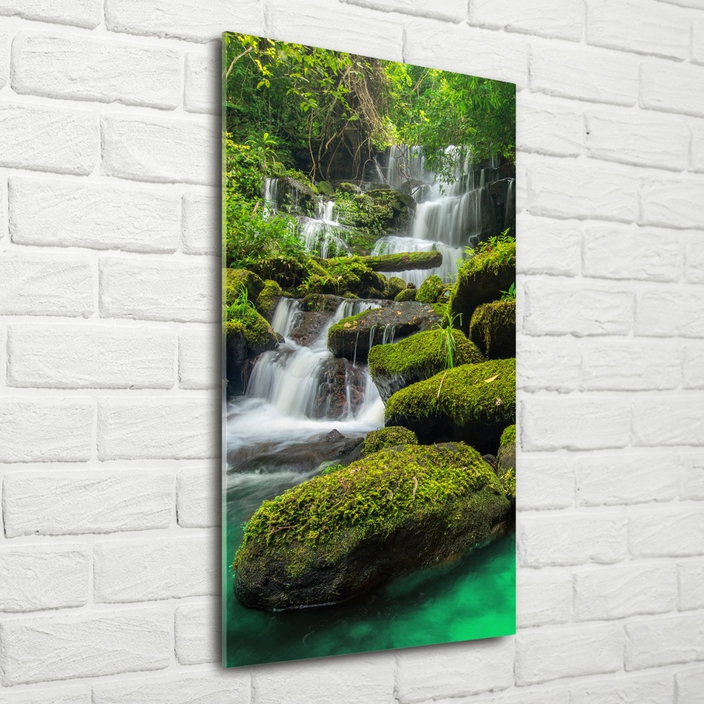 Foto obraz akrylový vertikální Vodopád v džungli
