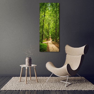 Foto obraz akrylové sklo vertikální Stezka v lese