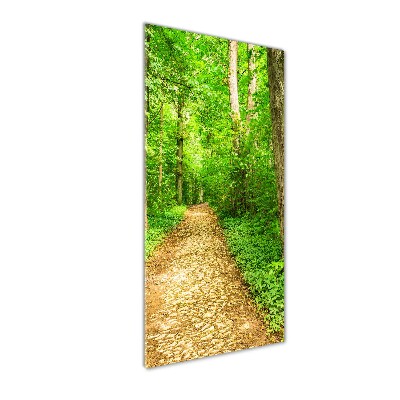 Foto obraz akrylové sklo vertikální Stezka v lese