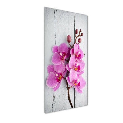 Foto obraz akrylové sklo vertikální Růžová orchidej