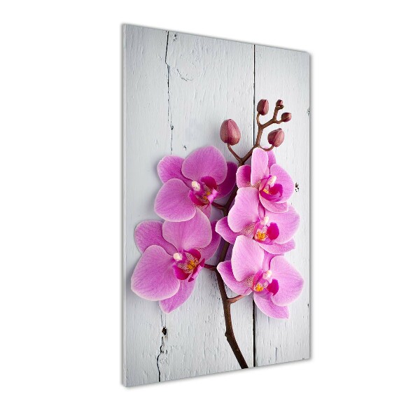 Foto obraz akrylové sklo vertikální Růžová orchidej