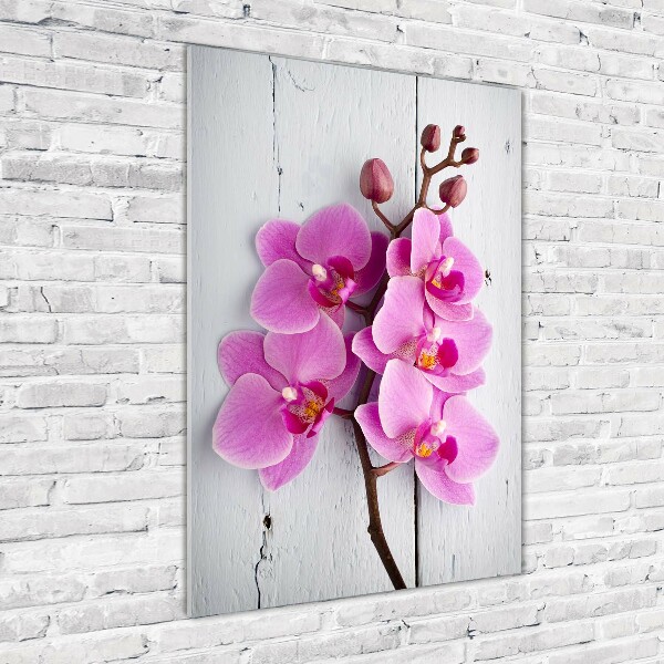 Foto obraz akrylové sklo vertikální Růžová orchidej