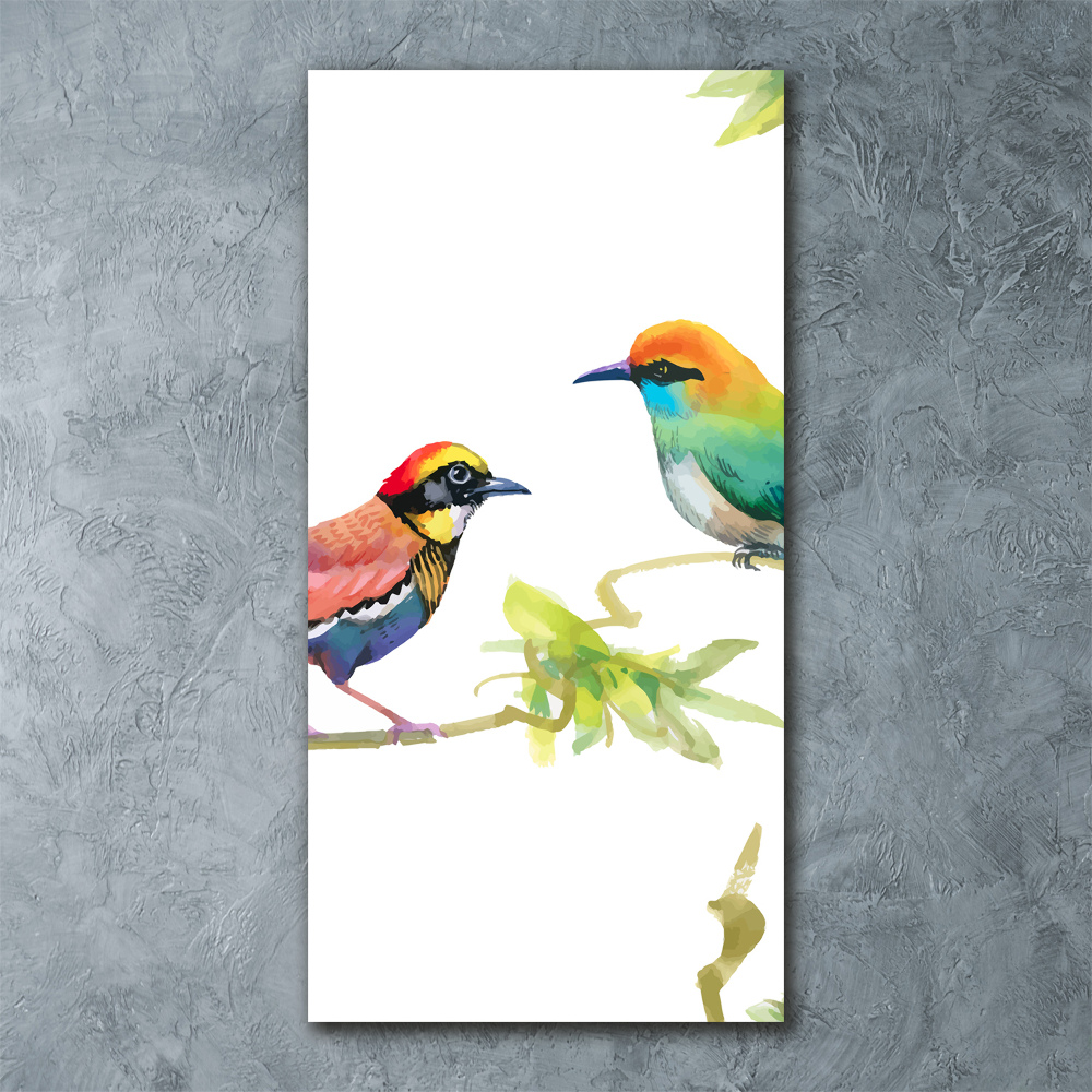 Moderní foto-obraz akryl na stěnu vertikální Ptáci