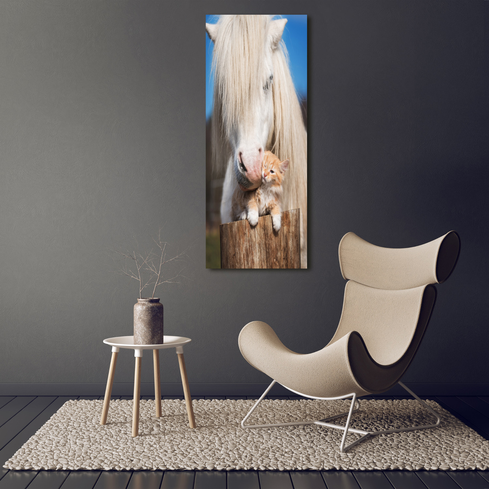 Foto obraz akrylový vertikální Bílý kůň s kočkou