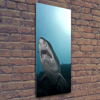 Foto obraz akrylový na stěnu vertikální Velký žralok