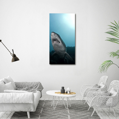 Foto obraz akrylový na stěnu vertikální Velký žralok